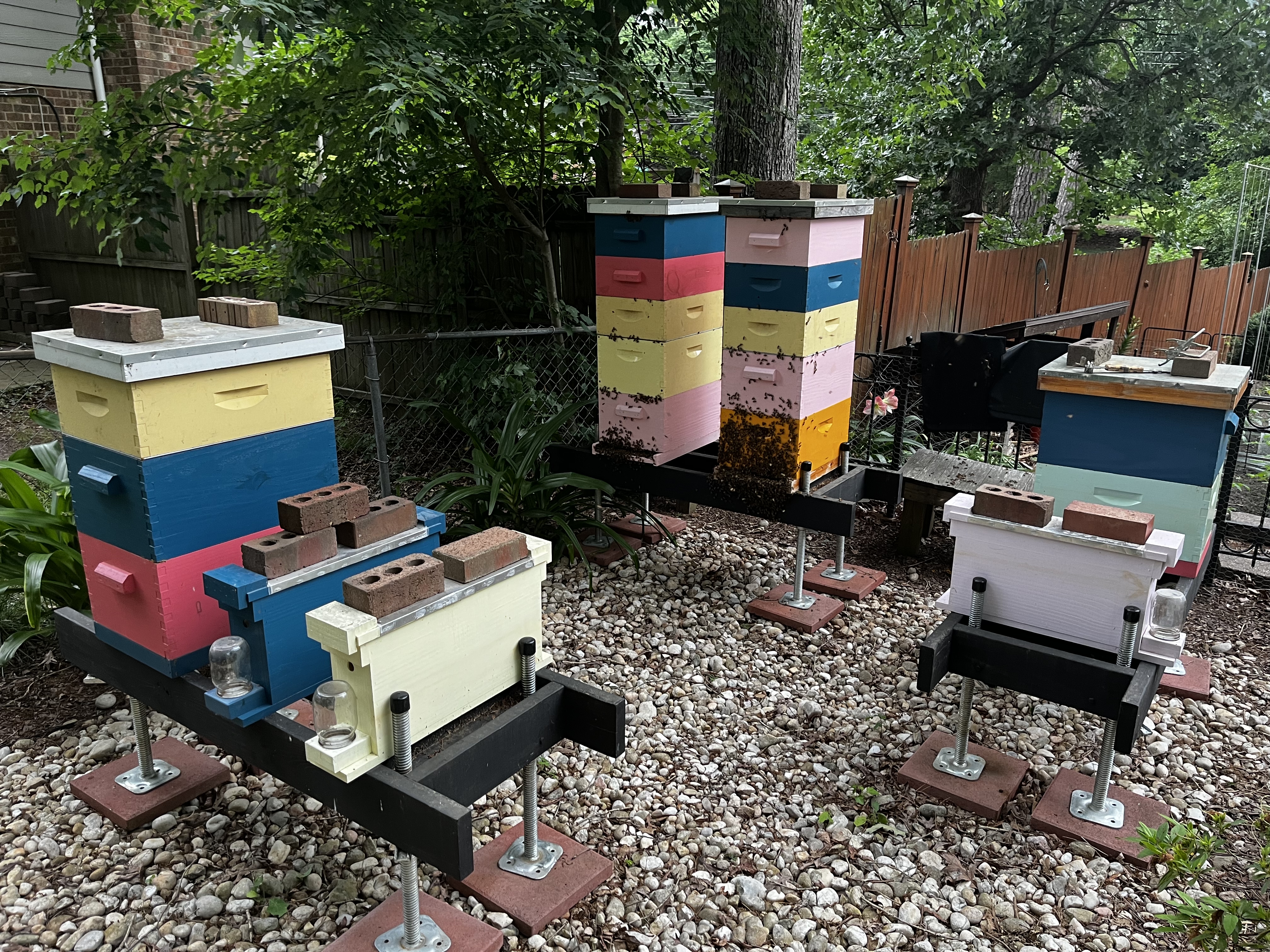 Our Apiary