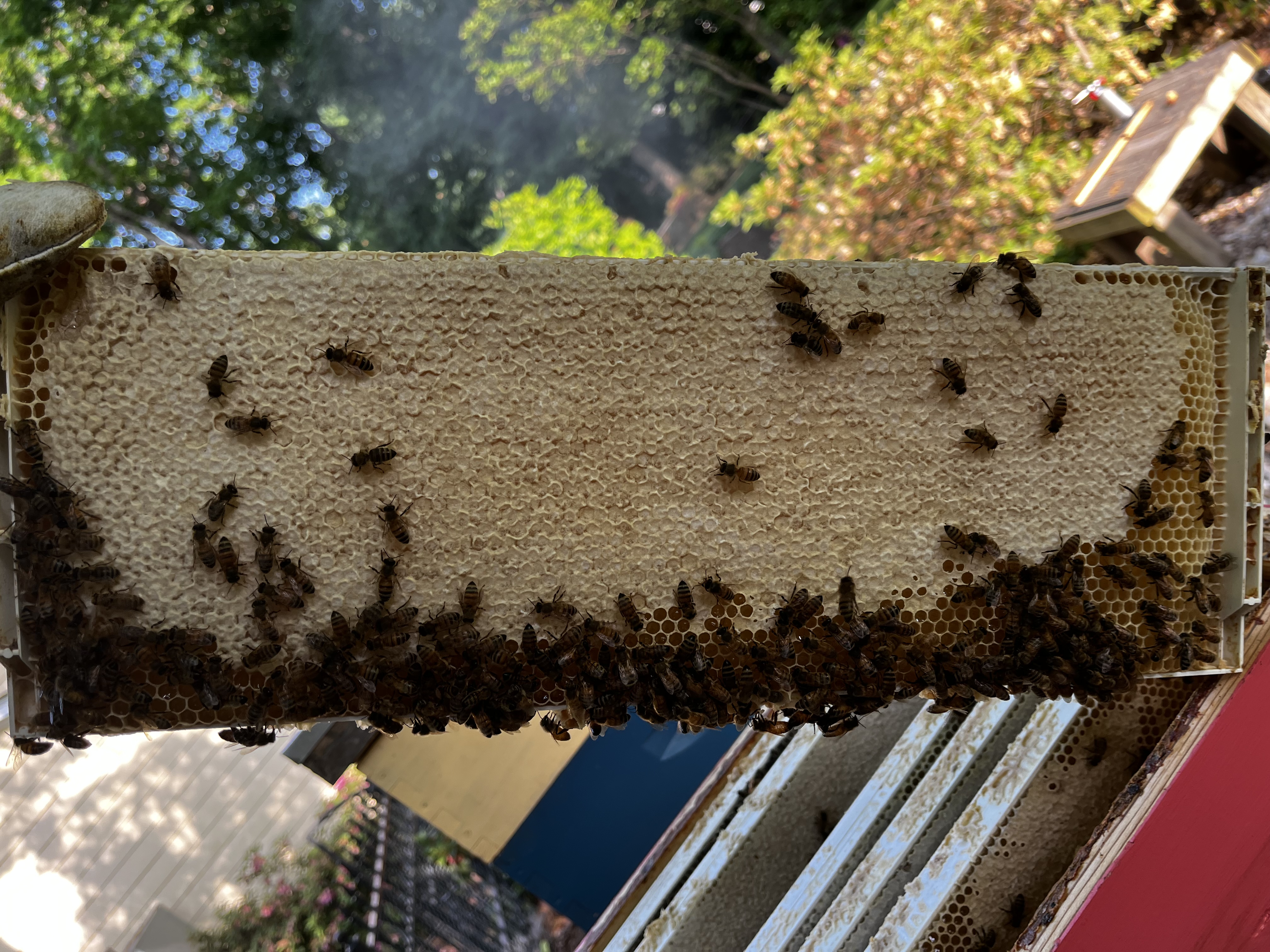 Production process 2